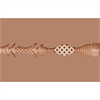 Fleshlight - Autumn Falls - Cream Texture Vagina