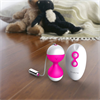 Nalone - Huevo Vibrador y Bolas Kegel Miu Miu Fuchsia