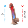 Silexd - Silexd - Modelo 2 Real Skin Pene Super Realãstico Termo Reactivo 21 Cm Premium Silexpan Mulato